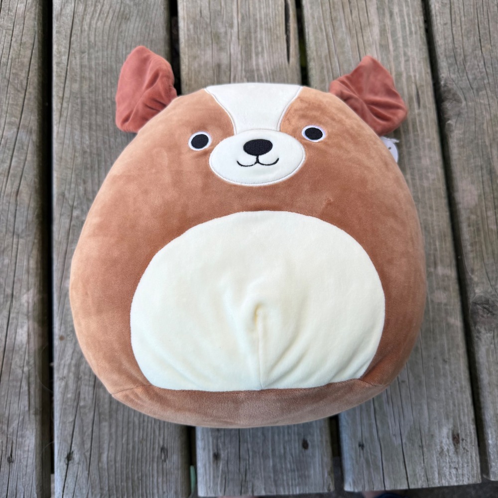Squishmallows Bernie the St Bernard Dog 12 Inch Plush Kellytoy Brown White Dog